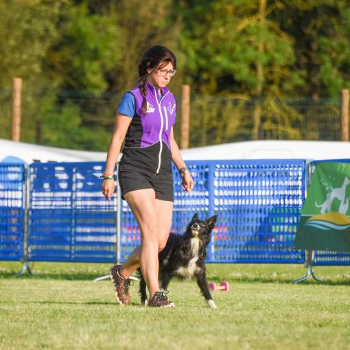 Event cover OBEDIENCE