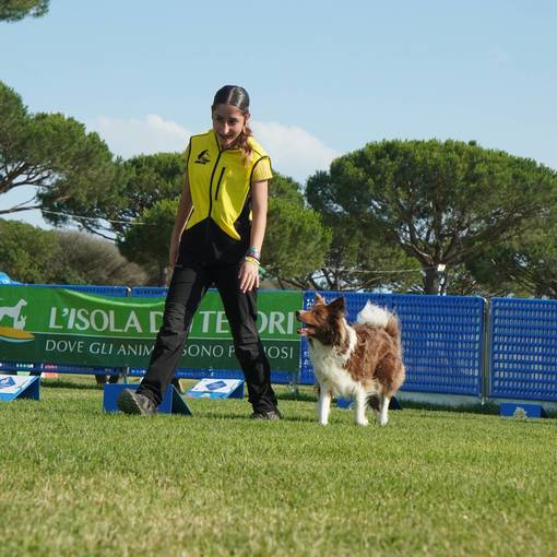 Event cover RALLY OBEDIENCE 