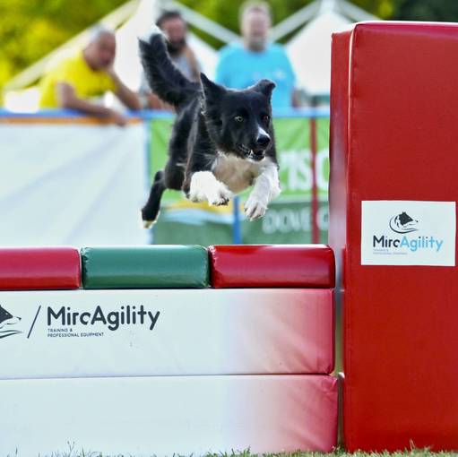 Capa do evento AGILITY