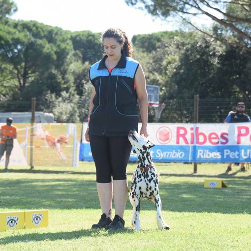 Capa do evento RALLY OBEDIENCE 
