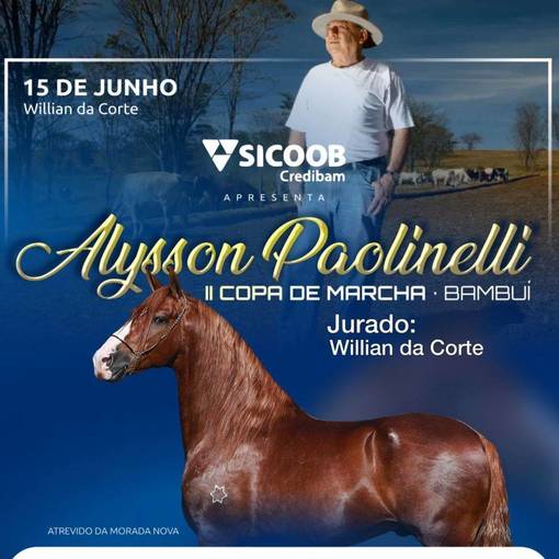 Event cover II Copa de Marcha Alysson Paolinelli Bambu-MG