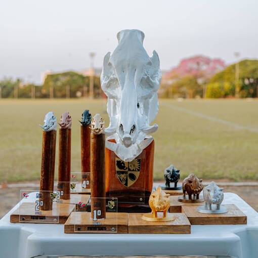 Capa do evento 2 ETAPA DA LIGA CENTRO OESTE PAULISTA DE RUGBY - BAURU/SP