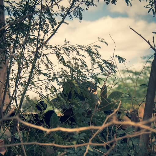 Event cover AIRSOFT 03/11/2024