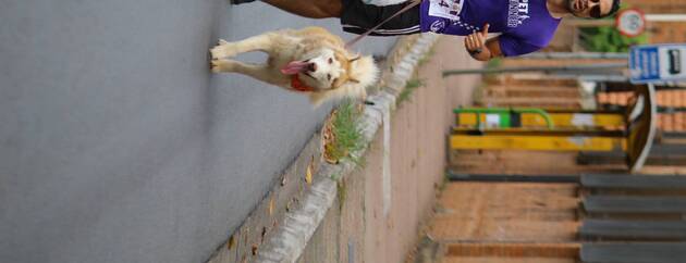 Event cover 5 Pet Runner