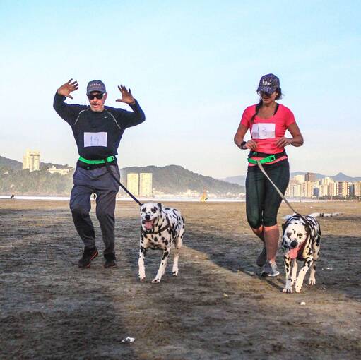 Event cover Canicross ABCES Sprint 2km - Santos