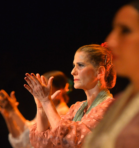 Event cover Cuadra Flamenca 20 Anos