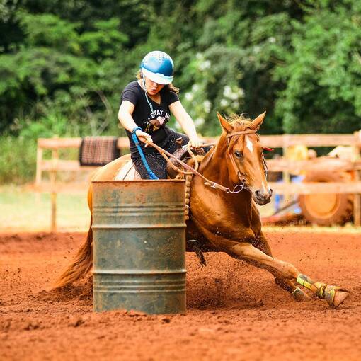 Event cover prova clube do cavalo