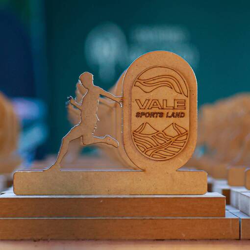Event cover VALE TRAIL RUN