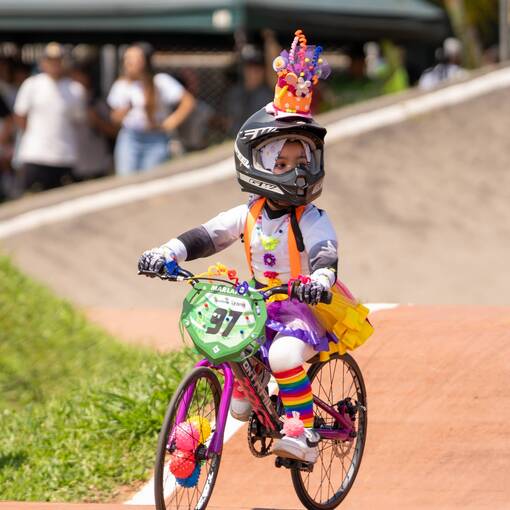 Portada del evento Festival semillero Circus 2025