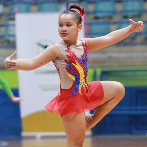 TORNEIO GR BRASIL GINASTICA RITMICA DIA: 15 E 16/11 on Fotop