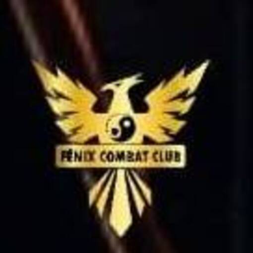 Event cover Fenix Combat Club - Treino Masculino