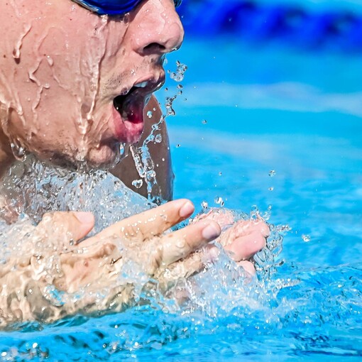 Capa do evento CAMPEONATO MASTER DE NATAAO 1 ETAPA