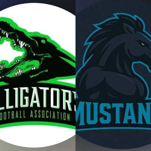 Event cover Alligators vs Mustangs (Flag Football)