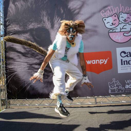 Event cover Cats Run RS