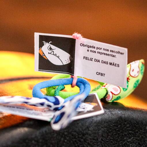 Copertura dell'evento Trein�o Dia das M�es - CF Bull Terrier