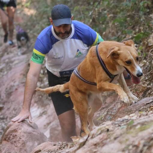 Event cover 4 Sabin Run  *Canicross*
