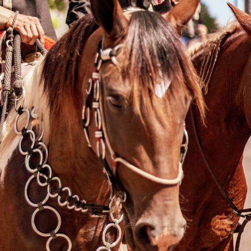 Event cover CAVALGADA 2025 REDEN��O