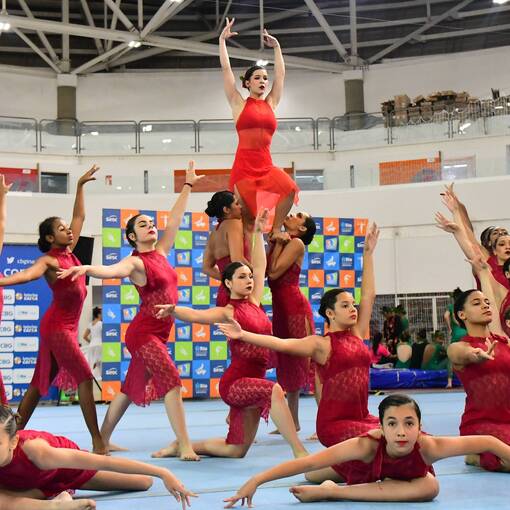 Event cover Festival de Gala FGERJ