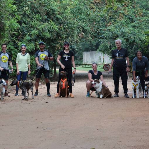 Capa do evento Trein�o Canicross Joaquim Egidio