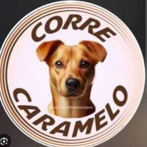 Event cover Meus Treinos -  Corre Caramelo