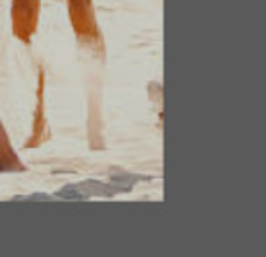 Event cover TREINO / BEACH TNIS / CANTO DO FORTE - PRAIA GRANDE - 12/07/2025 - SBADO. 
