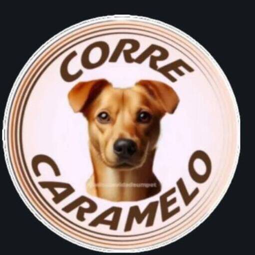 Event cover Meus Treinos  -  Corre Caramelo