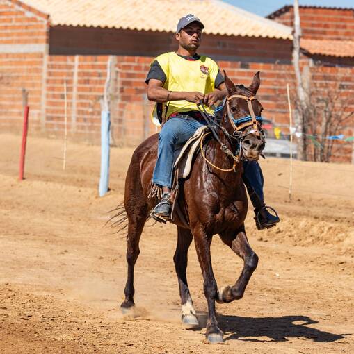 Capa do evento II Festa do Vaqueiro de Campo Alegre de Lourdes - Bahia