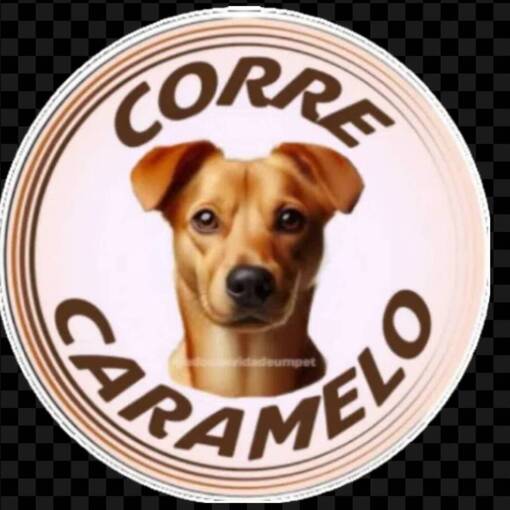 Meus Treinos  -  Corre Caramelo  on Fotop