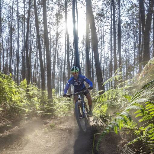 Event cover Reconhecimento Flona Race