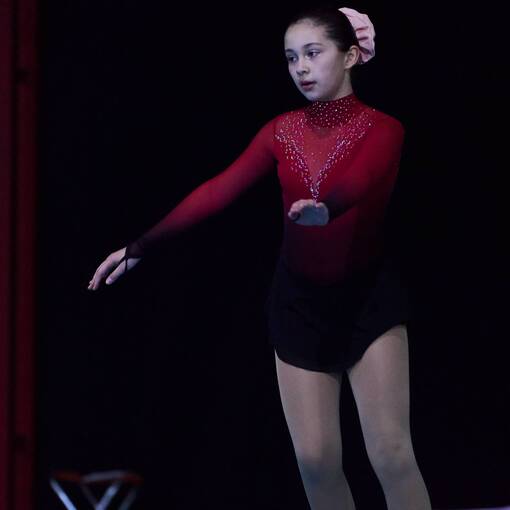 Event cover Escuela  de  Patinaje  Rosita Novaro