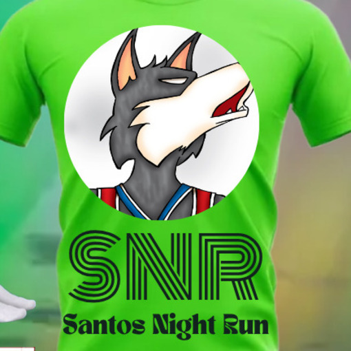 Portada del evento 3 Santos Night Run