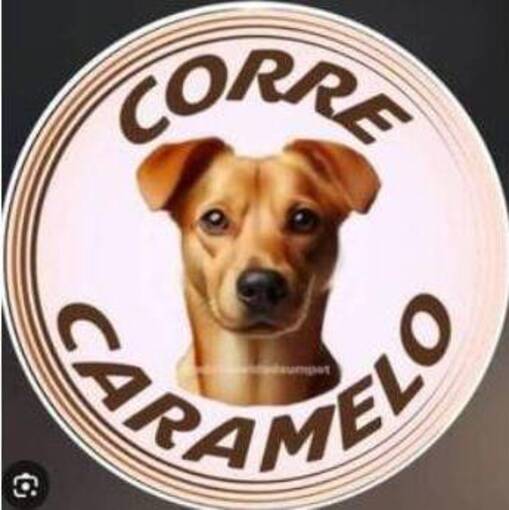 Event cover Meus Treinos  -  Corre Caramelo