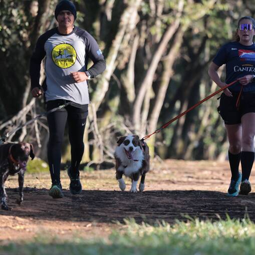 Capa do evento Treino Canicross Parque dos Lagos, Valinhos.
