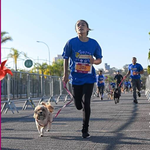 Capa do evento InterCorridaPet 2025