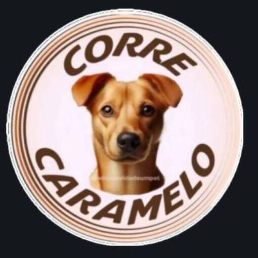 Meus Treinos  -  Corre Caramelo on Fotop