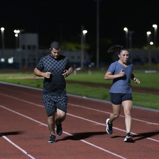 Jabuti na Pista de Atletismo on Fotop