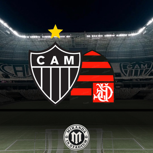 ATLETICO X FLAMENGO  En Fotop