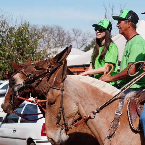 Capa do evento Cavalgada Agro Fest Frango Barra do Jacar�