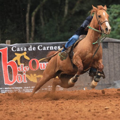 Couverture de l'événement Prova de Três Tambores - AMIGOS DO BOKA - Rancho L&M