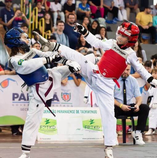Event cover Brazil Open de Taekwondo XXIX - 04 E 05/10