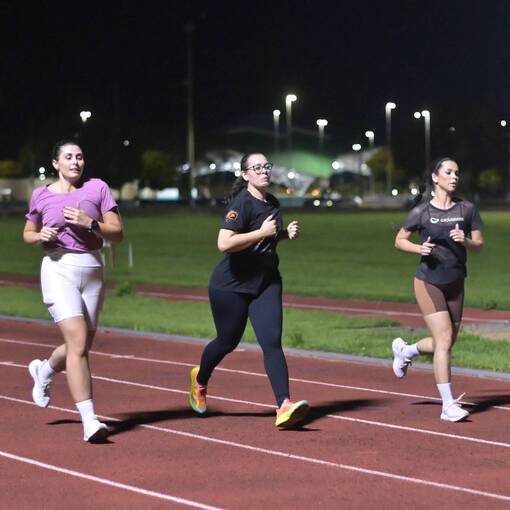 Jabuti na Pista de Atletismo En Fotop