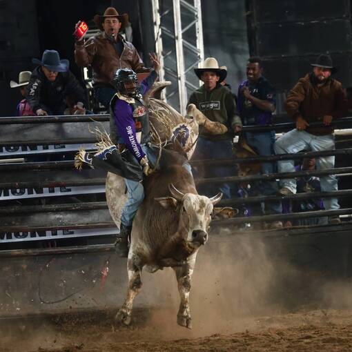 Event cover ITAMONTE RODEO FESTIVAL - (07/AGOSTO)