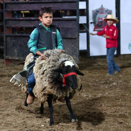Event cover RODEIO DE CARNEIROS - (ITAMONTE RODEO FESTIVAL 2025)