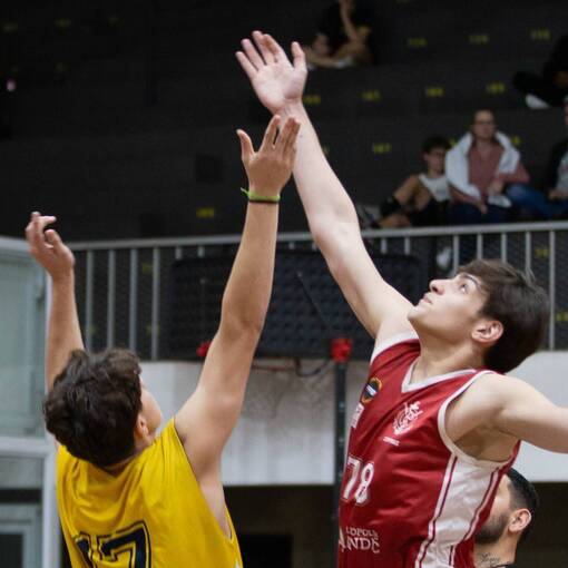 Event cover Olimpesec Regatas X cultura