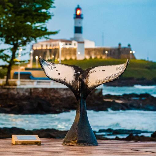 Capa do evento Triao - Tic Tac e Tri Swim