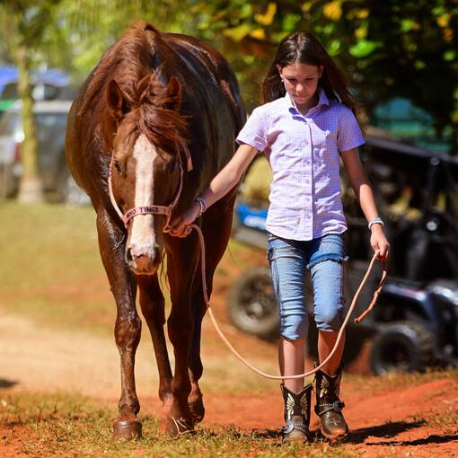 Event cover 2 prova haras potro moreno