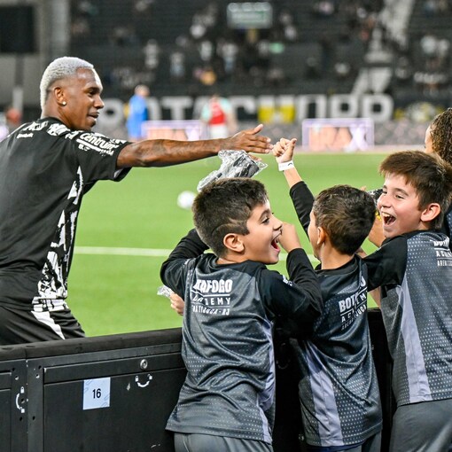 Couverture de l'vnement Botafogo x Palmeiras
