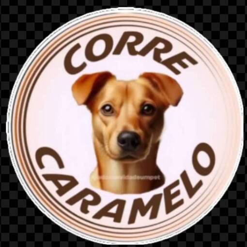 Event cover Meus Treinos -  Corre Caramelo