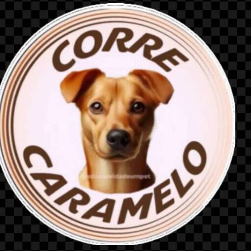 Event cover Meus Treinos  -  Corre Caramelo