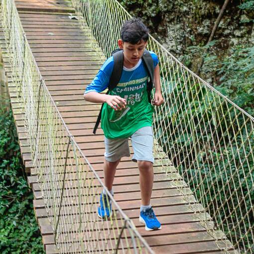 Event cover Caminhada da Natureza - Altamira do Paran